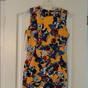 Calvin Klein Scuba Dress